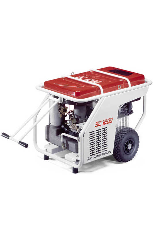 Compresseur Thermique Essence 11,7CV à Vis